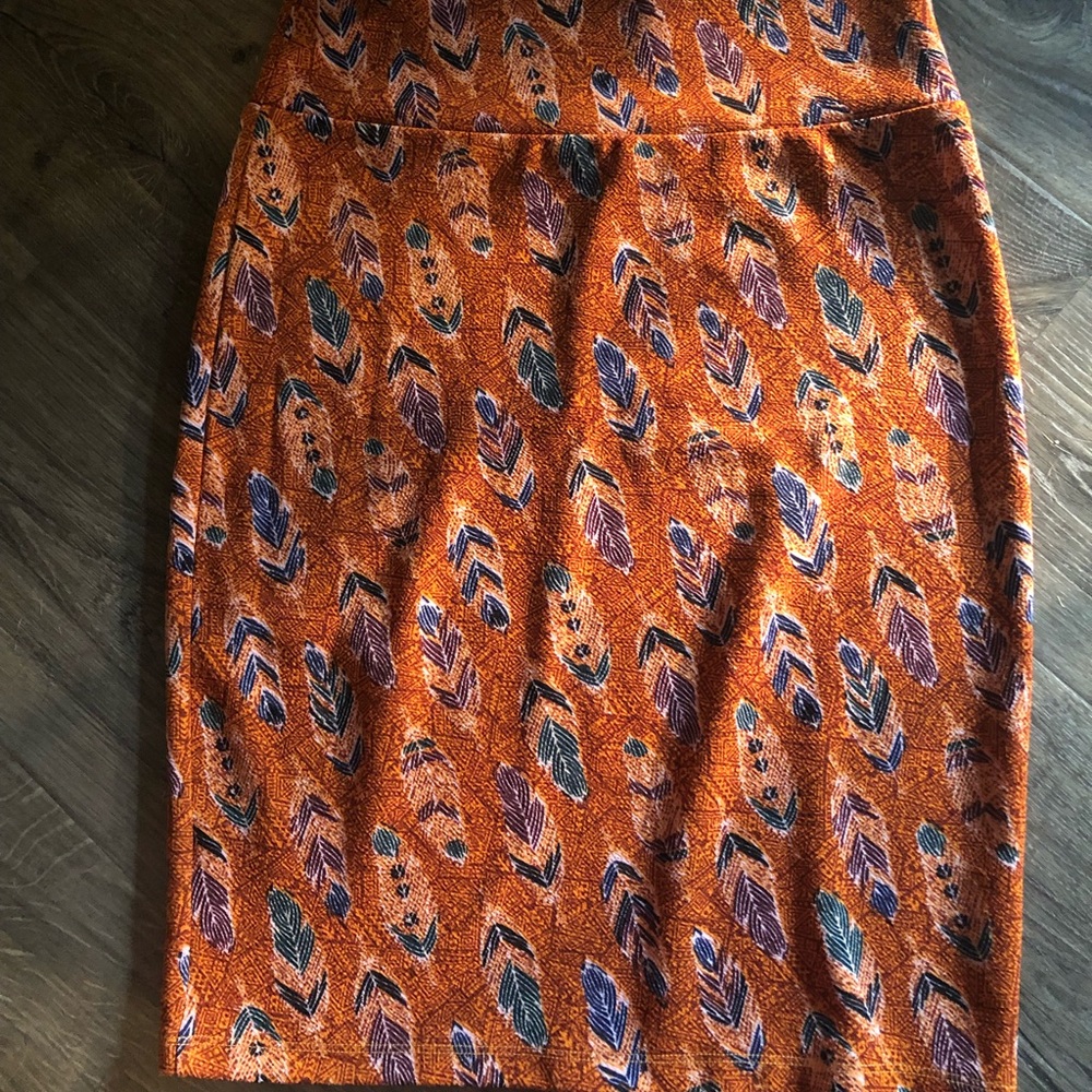 💕✨Burnt orange Cassie Skirt with feathers ✨